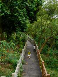 南寧良鳳江森林公園｜可乘公交進山徒步撿秋去！