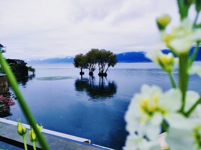 阿凱緹婭｜雨時治癒的氛圍感。