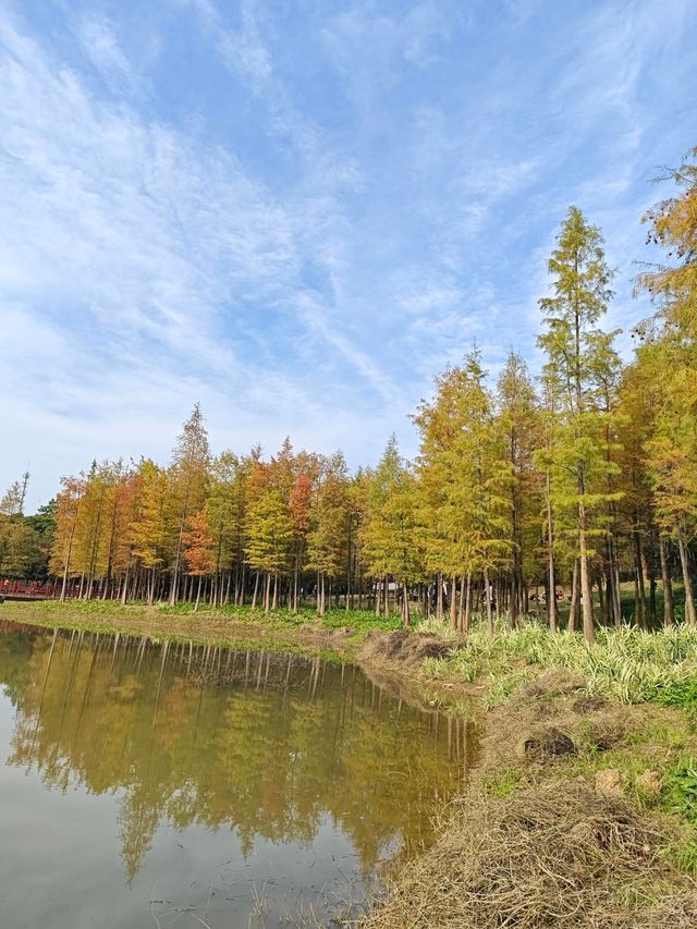 深圳紅花嶺公園