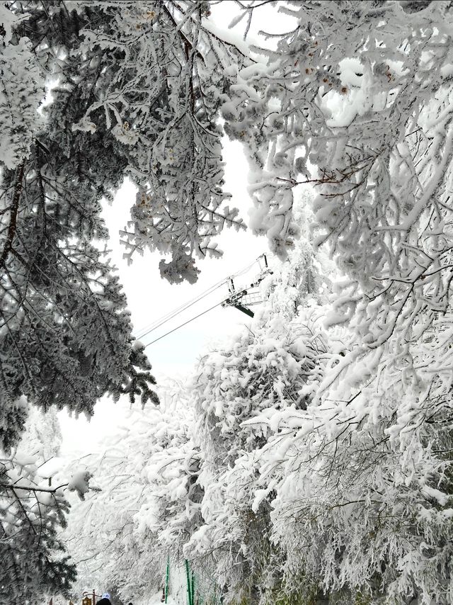 峨眉山的雪簡直封神了 | 冬季超詳細旅遊攻略