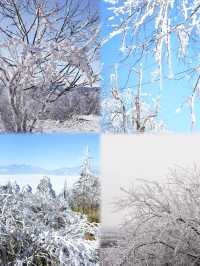 石棉冰雪之旅，兩天一夜解鎖冬季新玩法