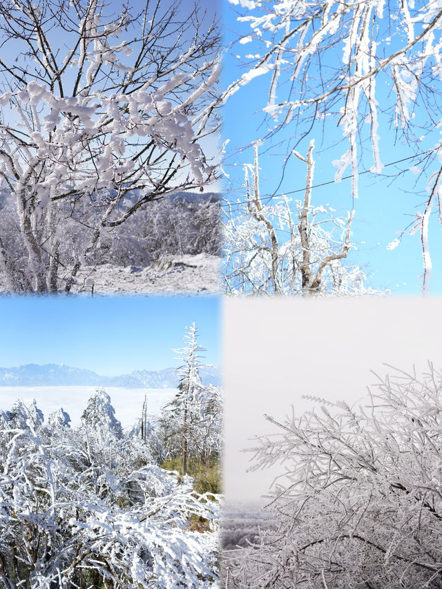 石棉冰雪之旅，兩天一夜解鎖冬季新玩法