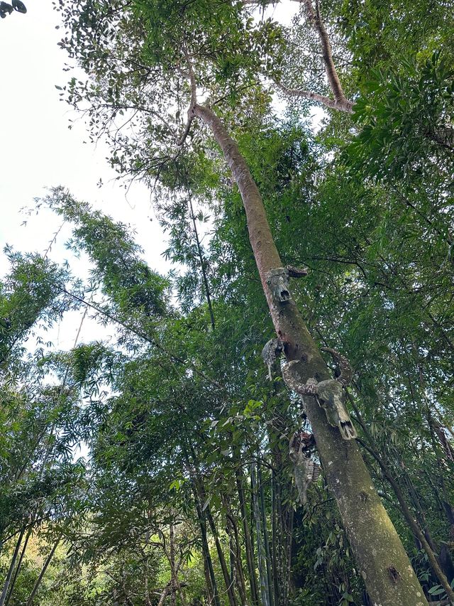 告別迷茫臨滄5日遊 你就需要這一篇