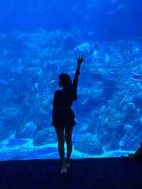 Hong Kong Ocean Park Travel Guide