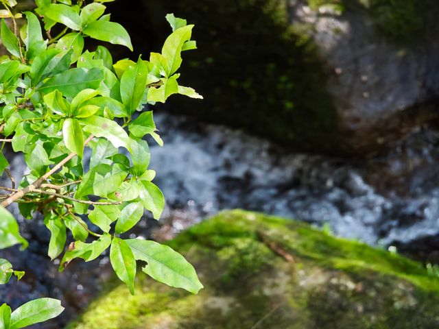 冬日武夷山：茶界OG與抗寒勇士的派對