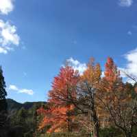 慢步日本山野 - 熊野古道