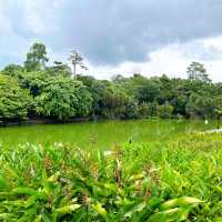 Festive Singapore Botanic Gardens