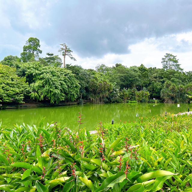 Festive Singapore Botanic Gardens