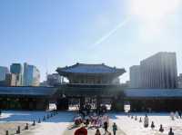 The iconic Gyeongbokgung Palace 🇰🇷