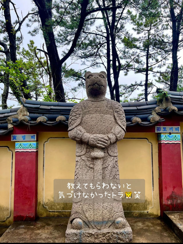 【釜山】"必ず願い事を1つ叶えてくれる"事で有名な 竜宮城のような『海東龍宮寺』 