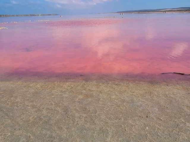 「西澳粉紅湖」27日會員日免費換貴賓室，享受機場貴賓室服務