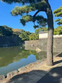 【東京】皇居：免費參觀，可順道參觀東御苑🏖️🔥