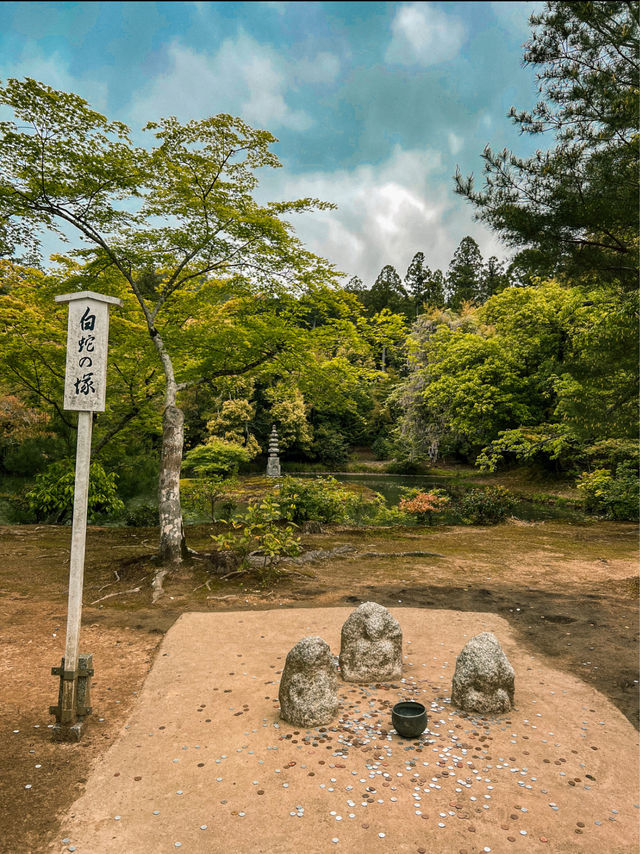 The Golden Pavilion of Kinkaku-ji in Kyoto 🇯🇵