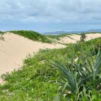 Discover the Tranquility of Red Rock, New South Wales