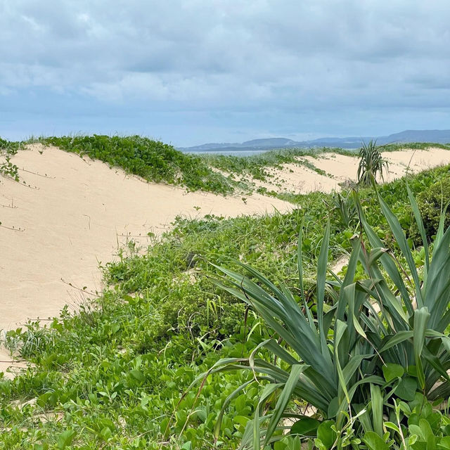 Discover the Tranquility of Red Rock, New South Wales