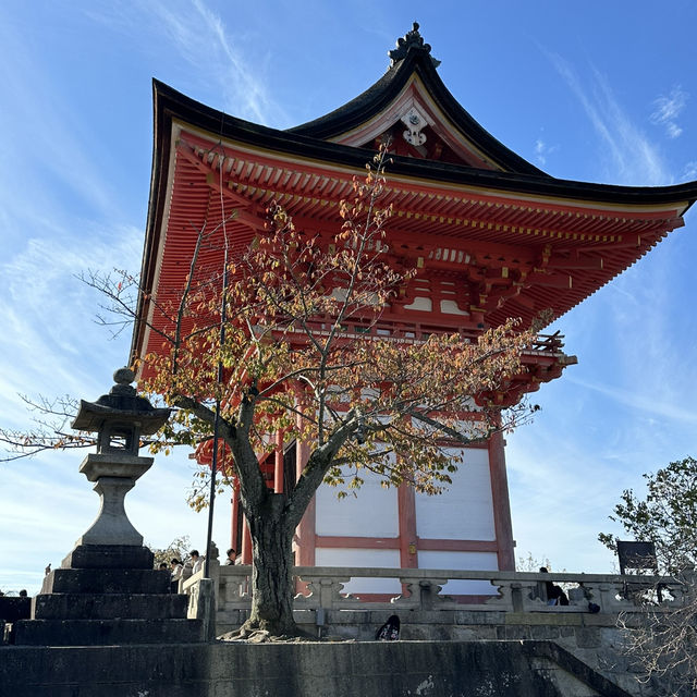 🍁 Kiyomizu-dera Temple: Kyoto’s Autumn Gem 🍁