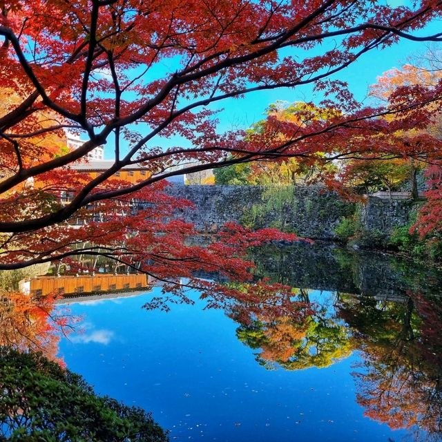 wakayama castle