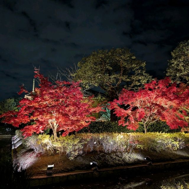 🇯🇵京都「東寺」 倒影如畫的夜楓🍁之旅！