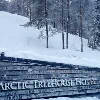 Lapland’s Hidden Gem: A Dreamlike Escape at Arctic TreeHouse Hotel