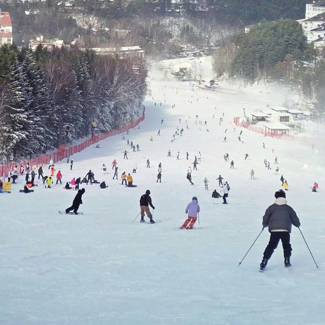 Magical Winter Wonderland at Yongpyong Ski Resort!