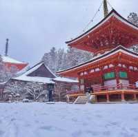 Koyasan #โคยะซัง 高野山 หน้าหนาว