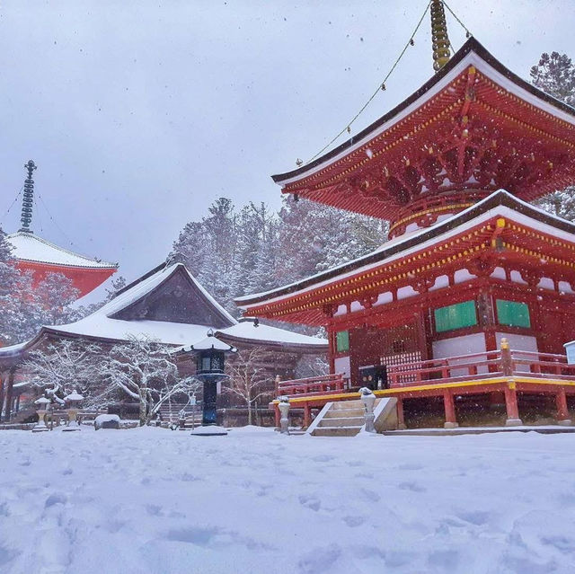 Koyasan #โคยะซัง 高野山 หน้าหนาว