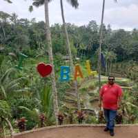 UBUD Rice Terrace - A must Visit 