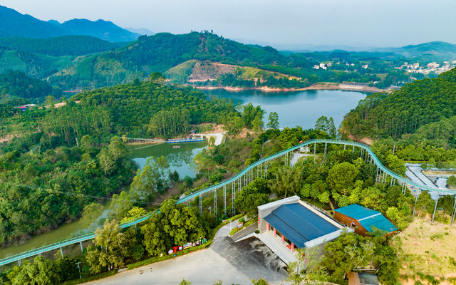 擁抱大自然的康養之旅：派陽山森林公園