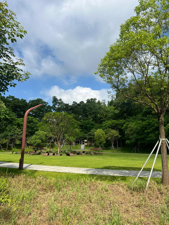 深圳公園｜城市裡的綠野仙蹤