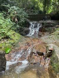 深圳龍華區陽台山森林公園| 踏進森林棧橋抵達深圳綠野秘境