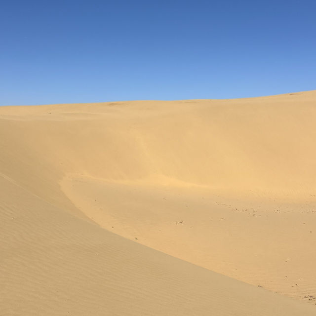 A Unique Desert Experience in Inner Mongolia