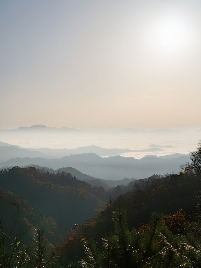 秦嶺山脈奔赴雲海日出 駕車直達太子嶺。