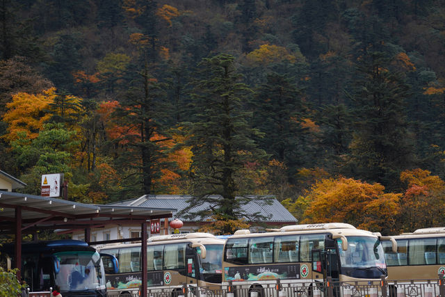 冬天，當然是來玩峨眉山啦！