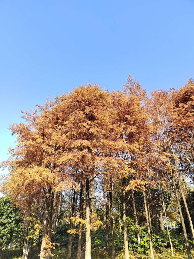 【湖光山色】杭州湘湖風景區，享受江南水鄉的寧靜之旅