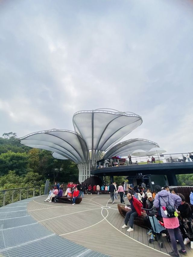 廣州雲蘿植物園