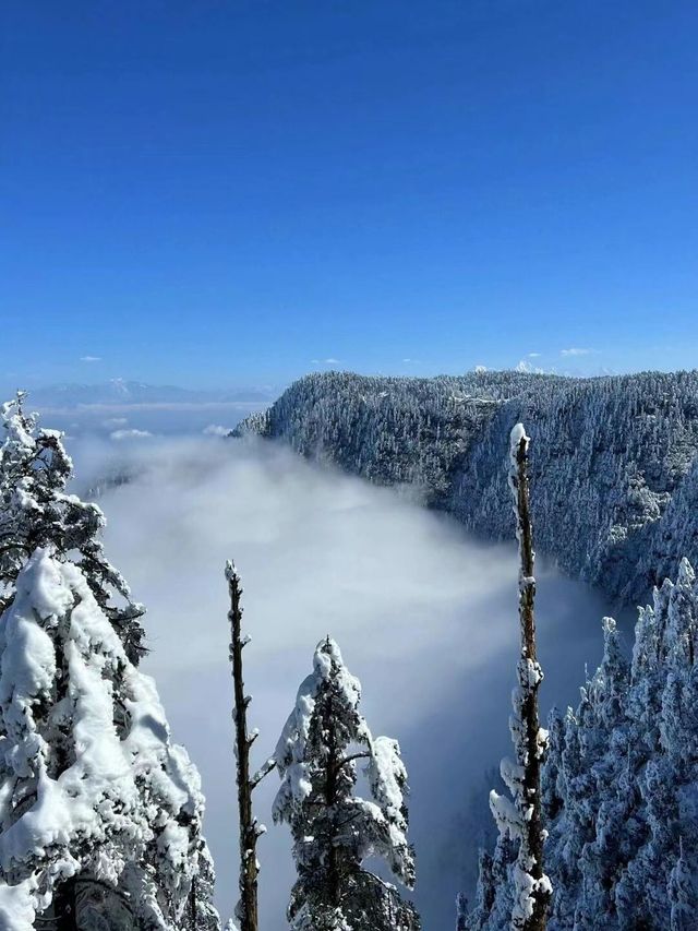 剛從瓦屋山回來，雪景真的太震撼了！