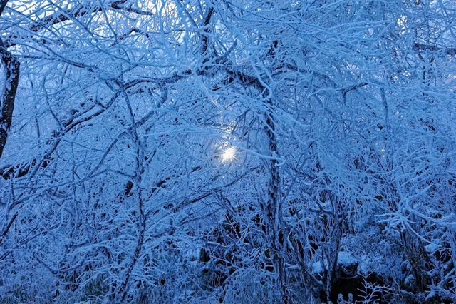 【雪域峨眉】冬季峨眉山，探秘冰雪世界的佛教聖地