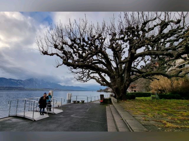 A leisure afternoon cruise on Lake Thun 🚢