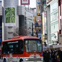 Exploring the Vibrancy of Tokyo