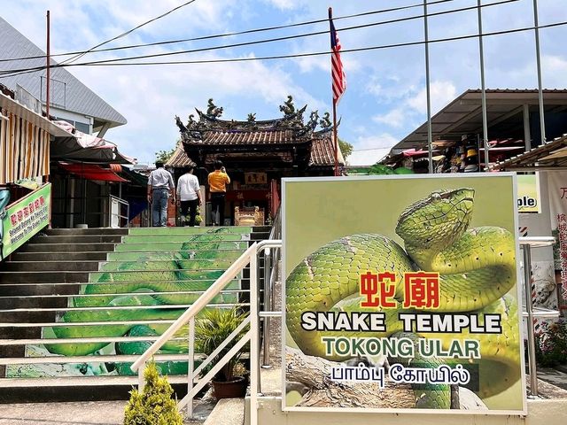 Snakes are everywhere here 🫣 | Snake Temple