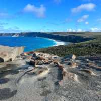 Kangaroo Island: Nature's Wonderland 🏝️🦘