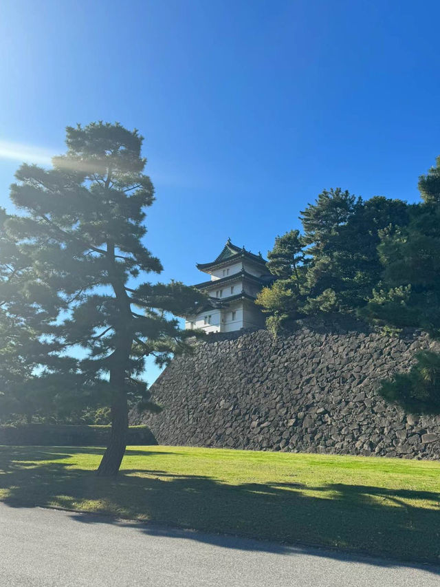 【東京】皇居：免費參觀，可順道參觀東御苑🏖️🔥