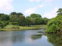 A sunny day walk at Botanic Gardens