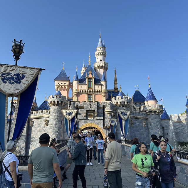 カリフォルニアディズニーランド🎡