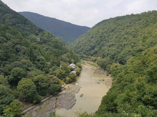 An enchanting moment at Arashiyama Bamboo Forest