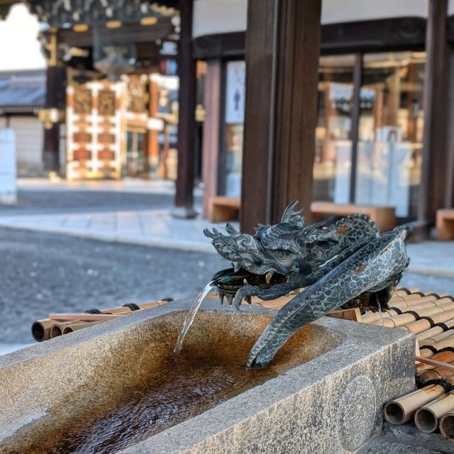 🇯🇵京都「西本願寺 東本願寺」銀杏盛開實況！穿越時空的寧靜之美