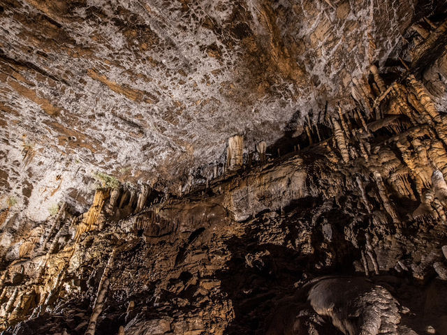 Exploring The Karst of Postojna Cave@Slovenia