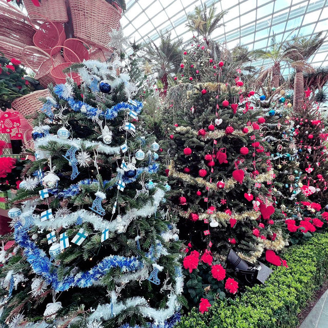 Magical Christmas Experience at Flower Dome!