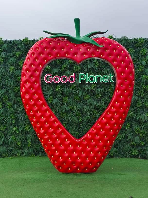 🍓🍓 Strawberry Picking Fun at Good Planet NZ