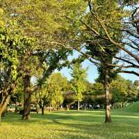 GYEONGJU'S HIDDEN TREASURES | THE ROYAL TOMBS OF THE SILLA DYNASTY 